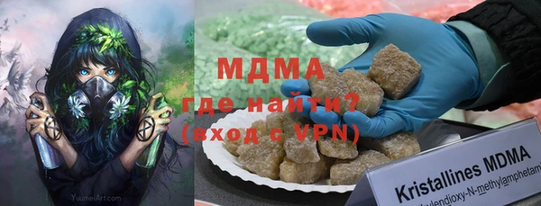 индика Алексин