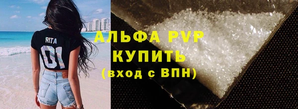 индика Алексин