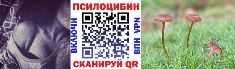 Галлюциногенные грибы прущие грибы  Комсомольск 